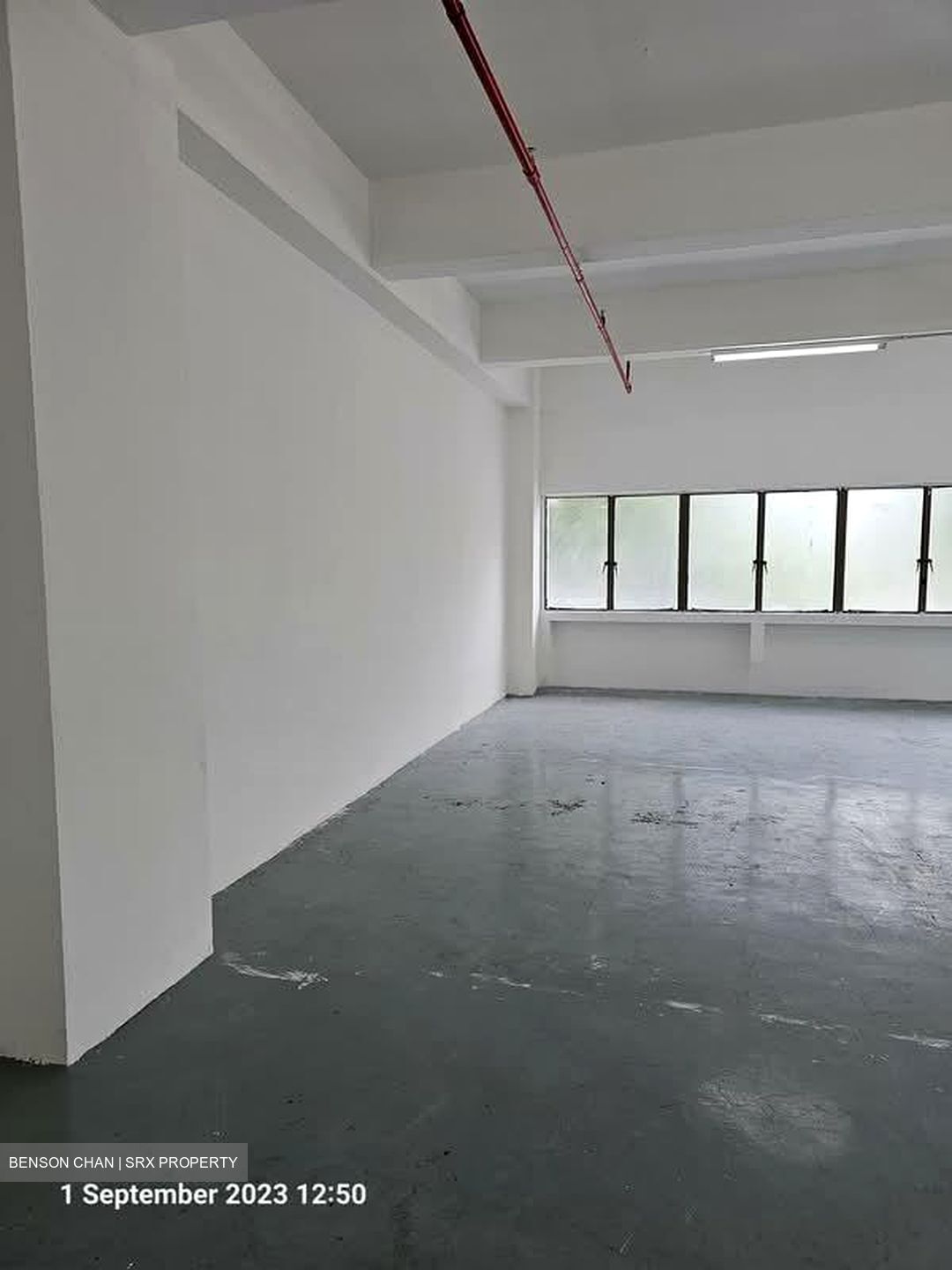 Perfect One (D13), Factory #577728901